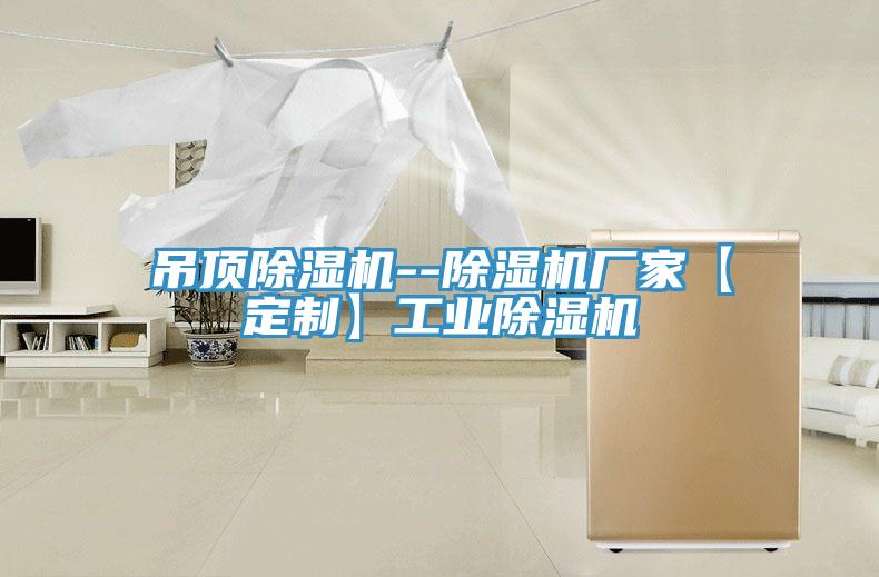 吊頂除濕機--除濕機廠家【定制】工業(yè)除濕機