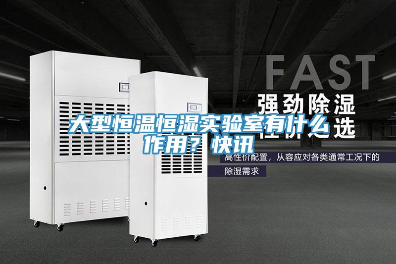 大型恒溫恒濕實驗室有什么作用？快訊