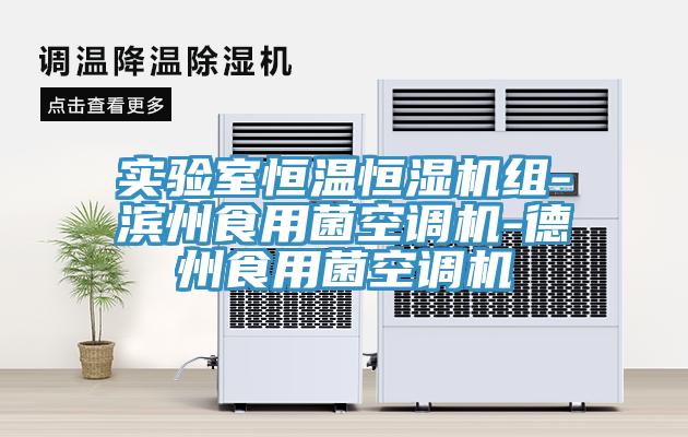 實驗室恒溫恒濕機組-濱州食用菌空調(diào)機-德州食用菌空調(diào)機