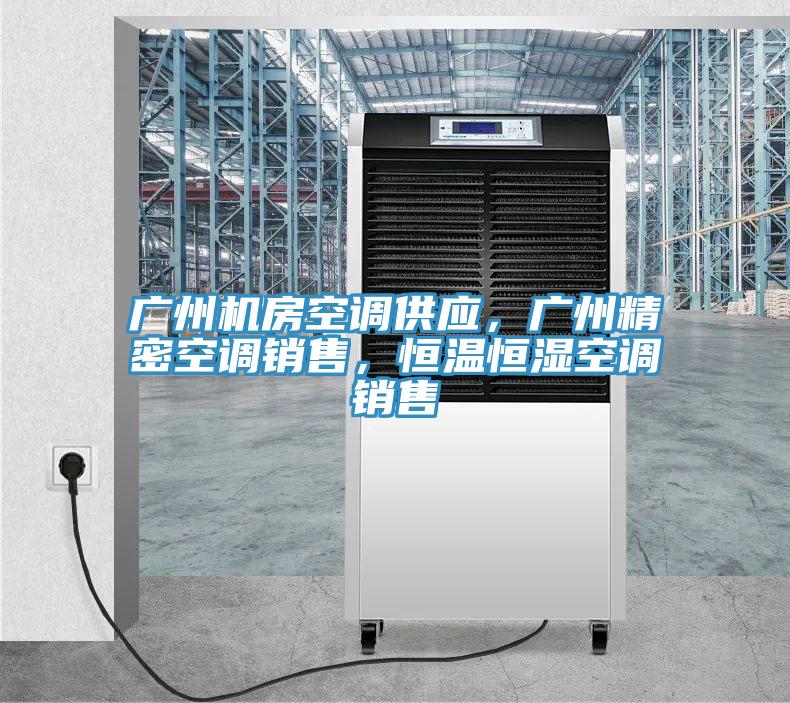 廣州機房空調(diào)供應(yīng)，廣州精密空調(diào)銷售，恒溫恒濕空調(diào)銷售