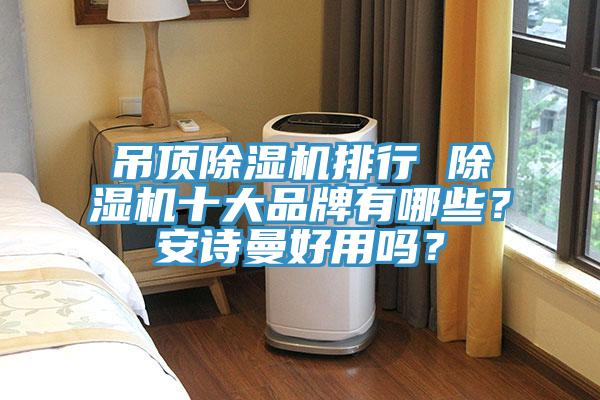 吊頂除濕機排行 除濕機十大品牌有哪些？安詩曼好用嗎？