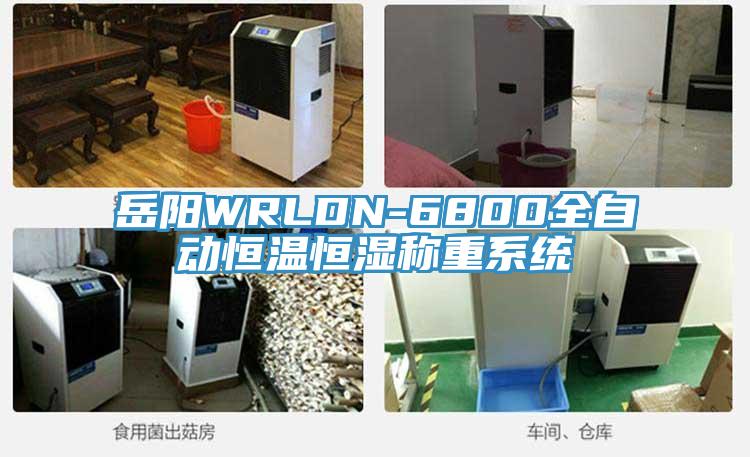 岳陽WRLDN-6800全自動(dòng)恒溫恒濕稱重系統(tǒng)