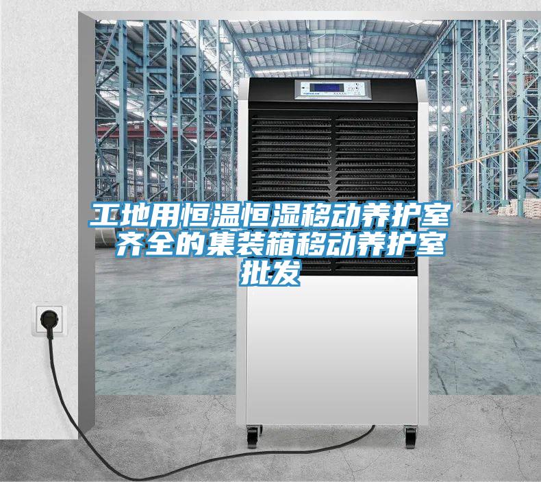 工地用恒溫恒濕移動(dòng)養(yǎng)護(hù)室 齊全的集裝箱移動(dòng)養(yǎng)護(hù)室批發(fā)