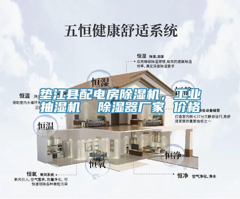 墊江縣配電房除濕機(jī)，工業(yè)抽濕機(jī)  除濕器廠家 價格