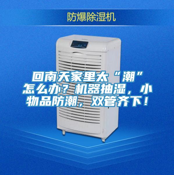 回南天家里太“潮”怎么辦？機(jī)器抽濕，小物品防潮，雙管齊下！