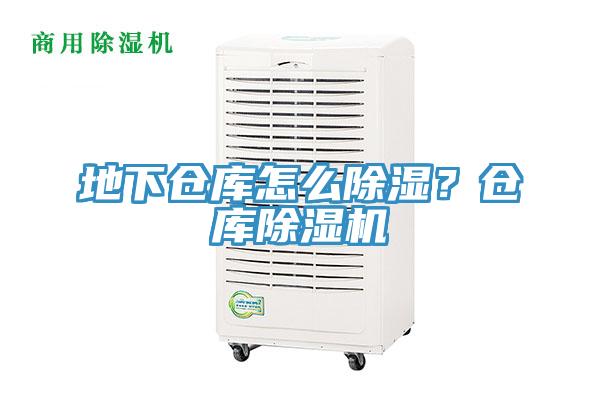 地下倉庫怎么除濕？倉庫除濕機(jī)