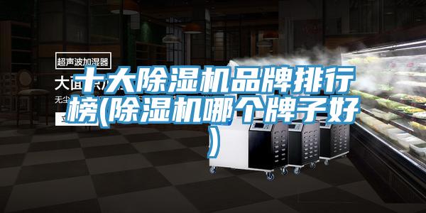 十大除濕機品牌排行榜(除濕機哪個牌子好)