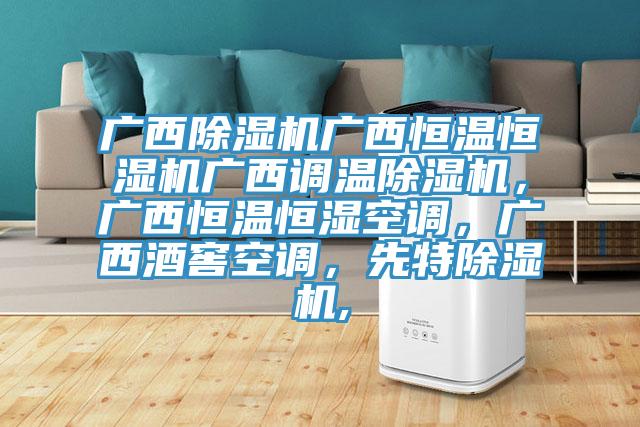 廣西除濕機(jī)廣西恒溫恒濕機(jī)廣西調(diào)溫除濕機(jī)，廣西恒溫恒濕空調(diào)，廣西酒窖空調(diào)，先特除濕機(jī),