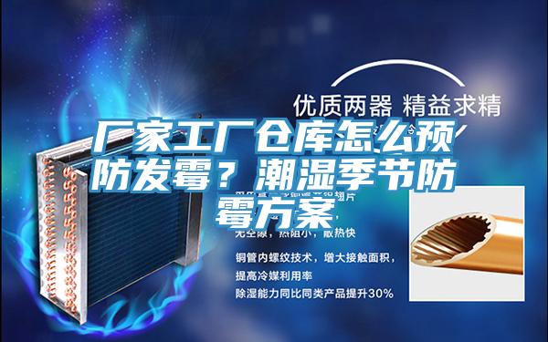 廠家工廠倉庫怎么預(yù)防發(fā)霉？潮濕季節(jié)防霉方案