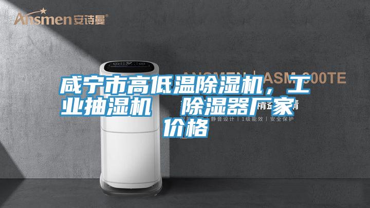 咸寧市高低溫除濕機(jī)，工業(yè)抽濕機(jī)  除濕器廠家 價(jià)格