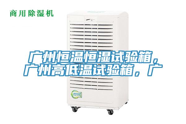 廣州恒溫恒濕試驗(yàn)箱，廣州高低溫試驗(yàn)箱，廣