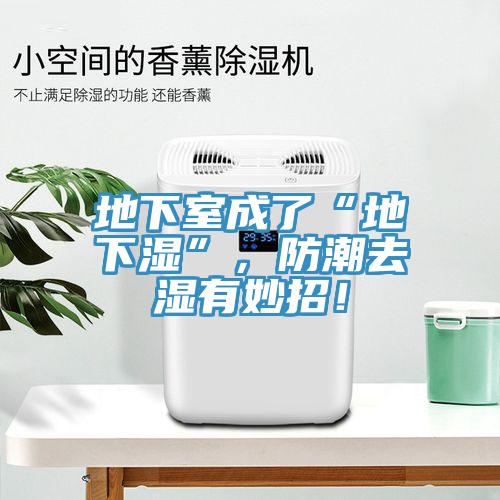 地下室成了“地下濕”，防潮去濕有妙招！