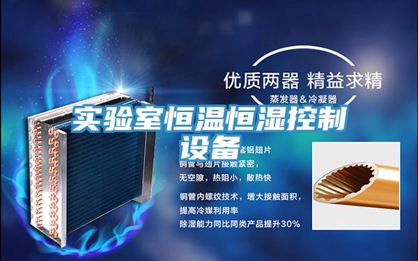 實驗室恒溫恒濕控制設(shè)備