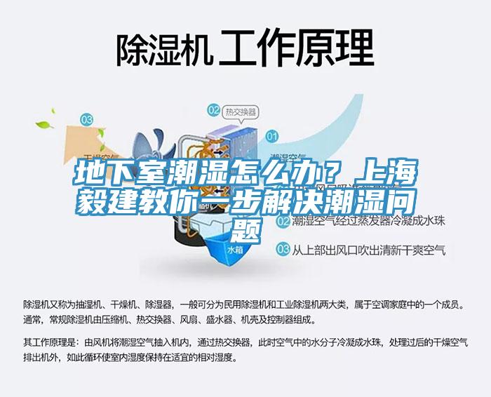 地下室潮濕怎么辦？上海毅建教你一步解決潮濕問題