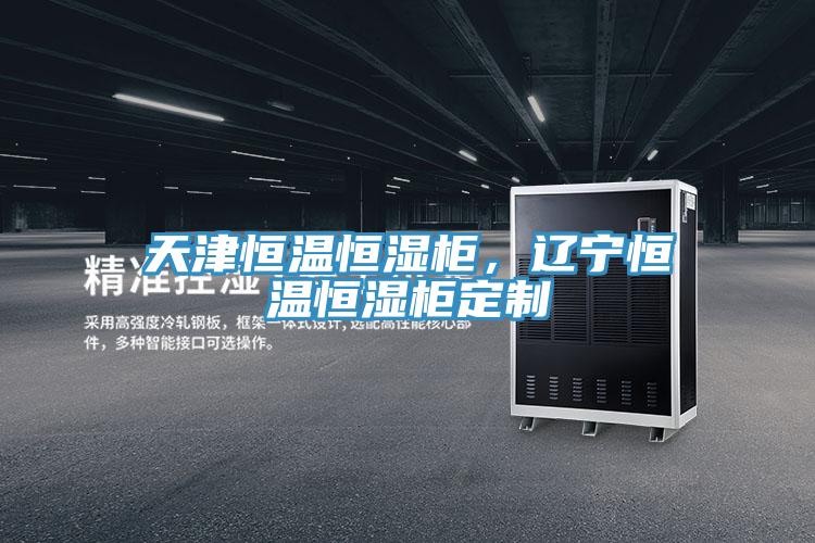 天津恒溫恒濕柜，遼寧恒溫恒濕柜定制