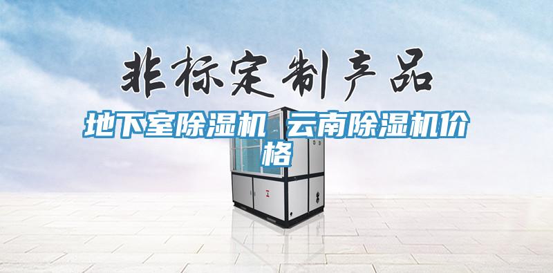 地下室除濕機(jī) 云南除濕機(jī)價格