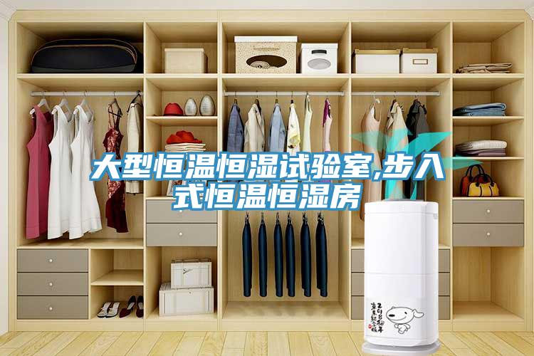 大型恒溫恒濕試驗室,步入式恒溫恒濕房