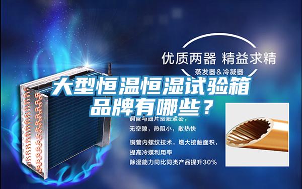 大型恒溫恒濕試驗箱品牌有哪些？