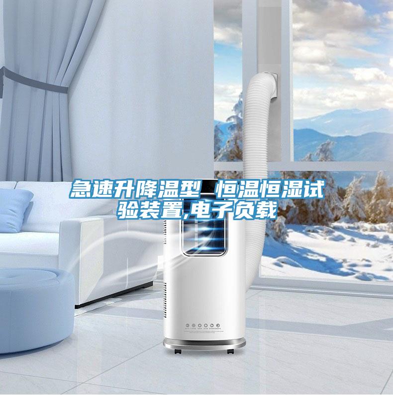 急速升降溫型 恒溫恒濕試驗(yàn)裝置,電子負(fù)載