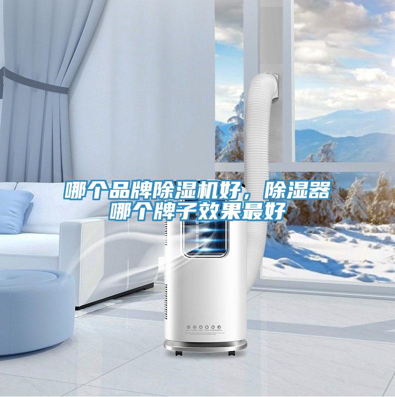哪個(gè)品牌除濕機(jī)好，除濕器哪個(gè)牌子效果最好