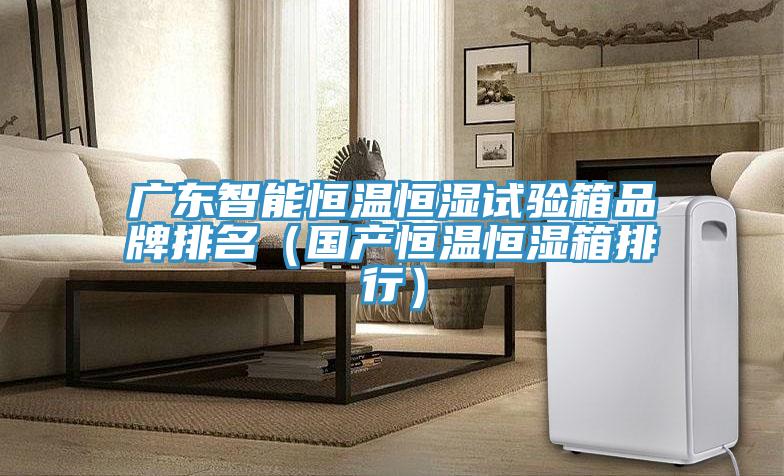 廣東智能恒溫恒濕試驗箱品牌排名（國產(chǎn)恒溫恒濕箱排行）