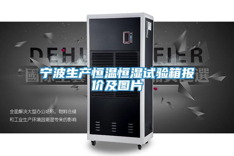 寧波生產(chǎn)恒溫恒濕試驗箱報價及圖片