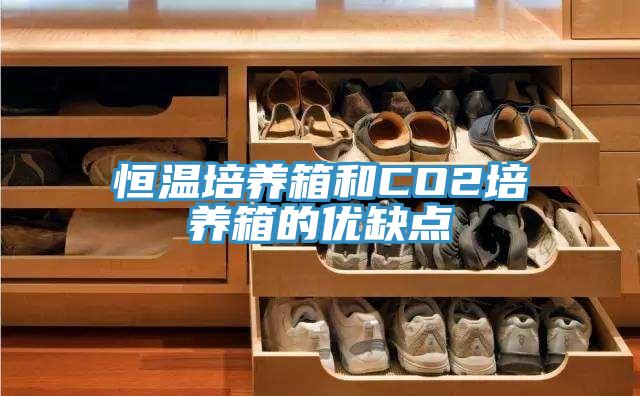 恒溫培養(yǎng)箱和CO2培養(yǎng)箱的優(yōu)缺點