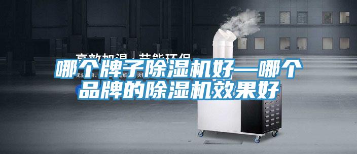 哪個(gè)牌子除濕機(jī)好—哪個(gè)品牌的除濕機(jī)效果好
