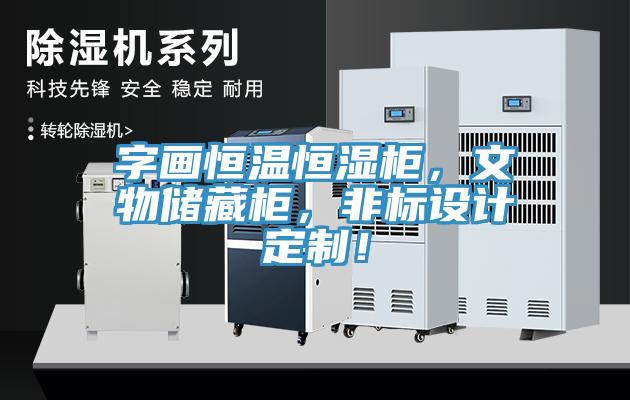 字畫恒溫恒濕柜，文物儲藏柜，非標設計定制！