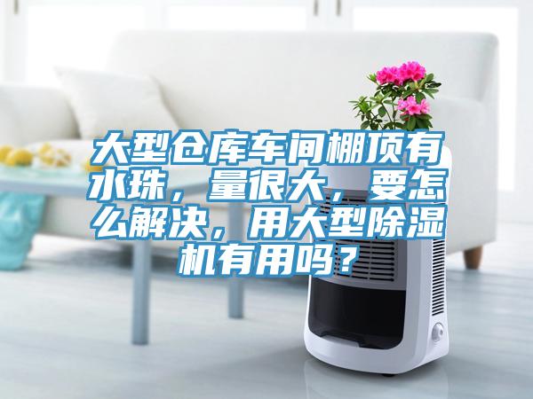 大型倉庫車間棚頂有水珠，量很大，要怎么解決，用大型除濕機有用嗎？