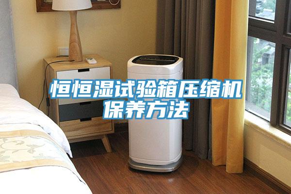 恒恒濕試驗(yàn)箱壓縮機(jī)保養(yǎng)方法