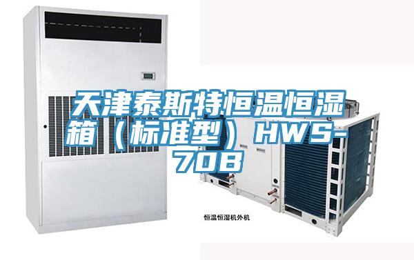 天津泰斯特恒溫恒濕箱（標(biāo)準(zhǔn)型）HWS-70B