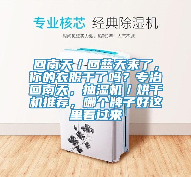回南天／回藍(lán)天來(lái)了，你的衣服干了嗎？專(zhuān)治回南天，抽濕機(jī)／烘干機(jī)推薦，哪個(gè)牌子好這里看過(guò)來(lái)