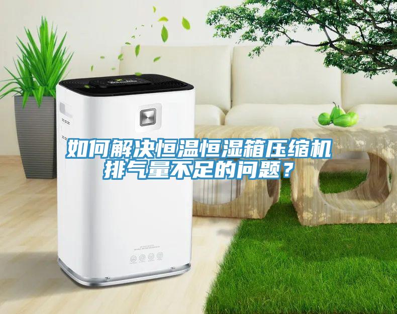 如何解決恒溫恒濕箱壓縮機(jī)排氣量不足的問(wèn)題？