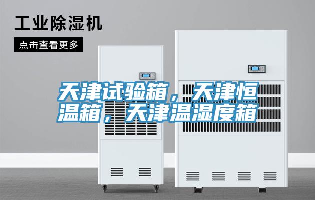 天津試驗箱，天津恒溫箱，天津溫濕度箱
