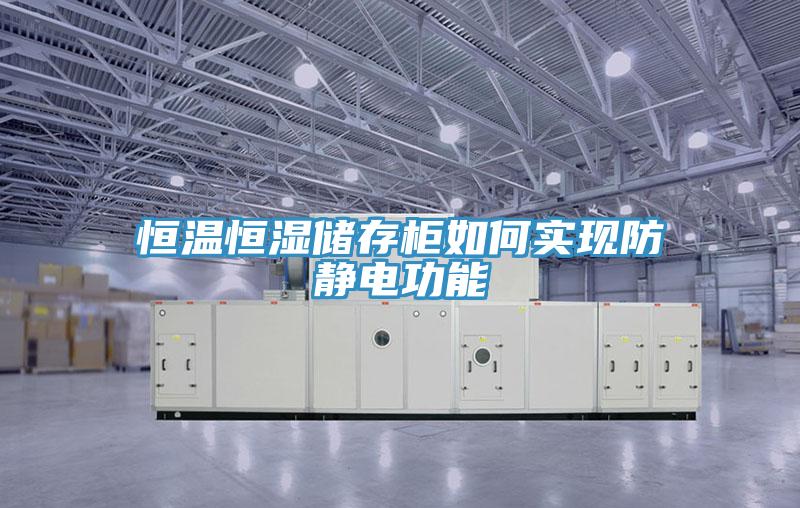 恒溫恒濕儲(chǔ)存柜如何實(shí)現(xiàn)防靜電功能
