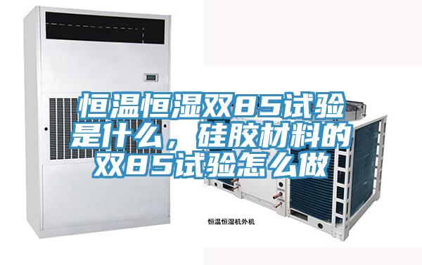 恒溫恒濕雙85試驗是什么，硅膠材料的雙85試驗怎么做