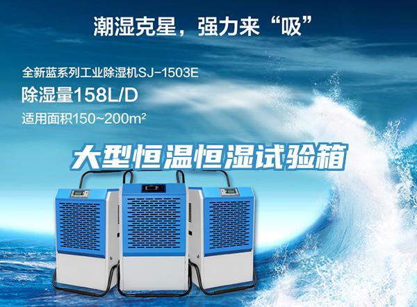 大型恒溫恒濕試驗箱