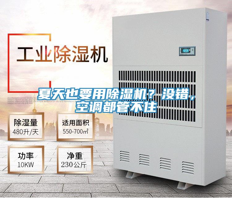 夏天也要用除濕機(jī)？沒(méi)錯(cuò)，空調(diào)都管不住