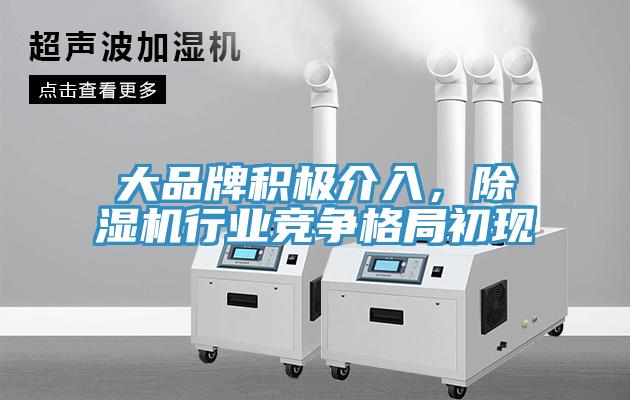 大品牌積極介入，除濕機(jī)行業(yè)競(jìng)爭(zhēng)格局初現(xiàn)
