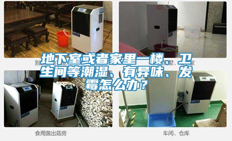 地下室或者家里一樓、衛(wèi)生間等潮濕、有異味、發(fā)霉怎么辦？