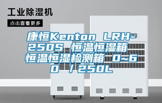 康恒Kenton LRH-250S 恒溫恒濕箱 恒溫恒濕檢測(cè)箱 0~60℃／250L