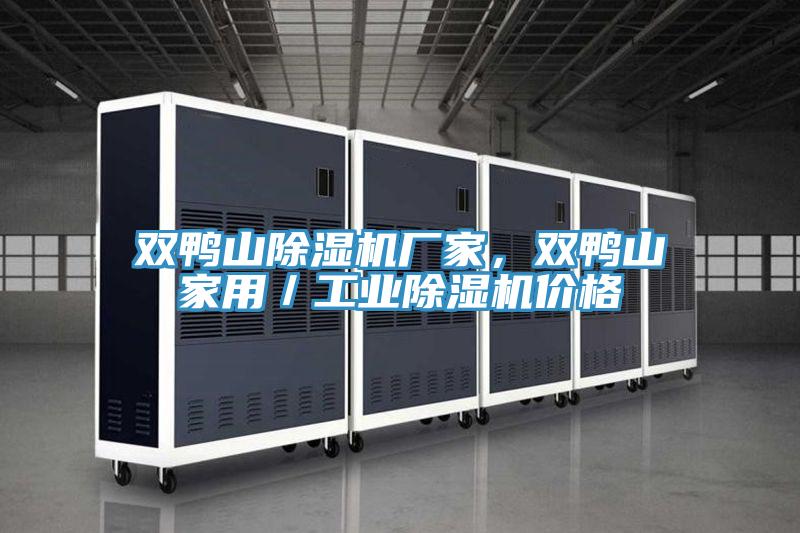 雙鴨山除濕機(jī)廠家，雙鴨山家用／工業(yè)除濕機(jī)價(jià)格
