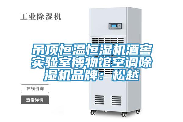 吊頂恒溫恒濕機酒窖實驗室博物館空調(diào)除濕機品牌：松越