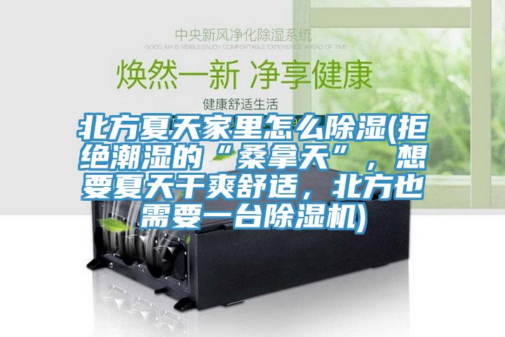 北方夏天家里怎么除濕(拒絕潮濕的“桑拿天”，想要夏天干爽舒適，北方也需要一臺(tái)除濕機(jī))