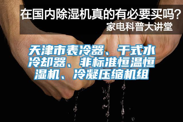 天津市表冷器、干式水冷卻器、非標(biāo)準(zhǔn)恒溫恒濕機(jī)、冷凝壓縮機(jī)組