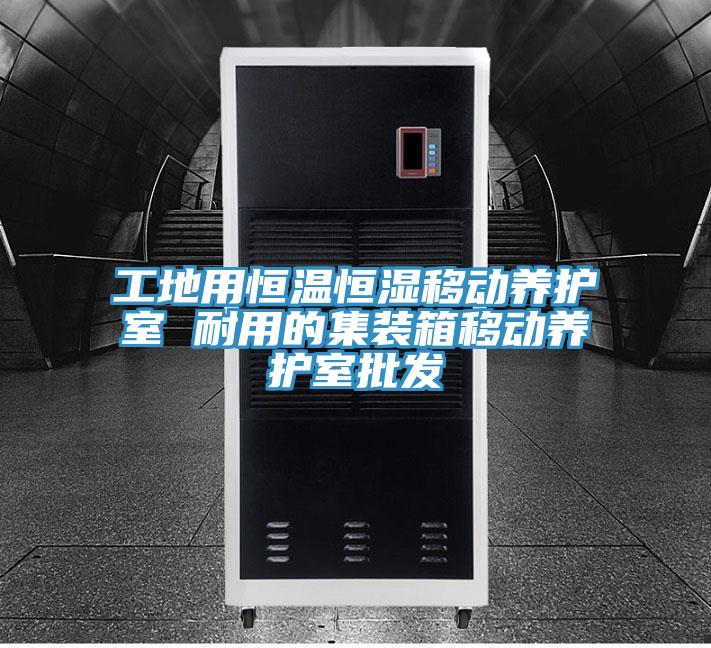 工地用恒溫恒濕移動(dòng)養(yǎng)護(hù)室 耐用的集裝箱移動(dòng)養(yǎng)護(hù)室批發(fā)