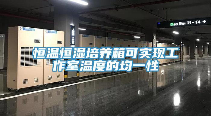 恒溫恒濕培養(yǎng)箱可實現(xiàn)工作室溫度的均一性