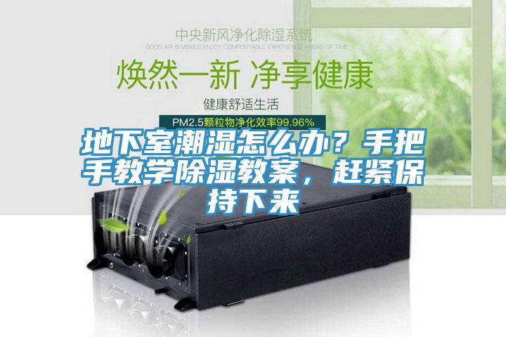 地下室潮濕怎么辦？手把手教學除濕教案，趕緊保持下來