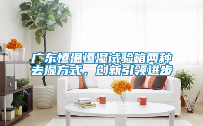 廣東恒溫恒濕試驗箱兩種去濕方式，創(chuàng)新引領(lǐng)進步